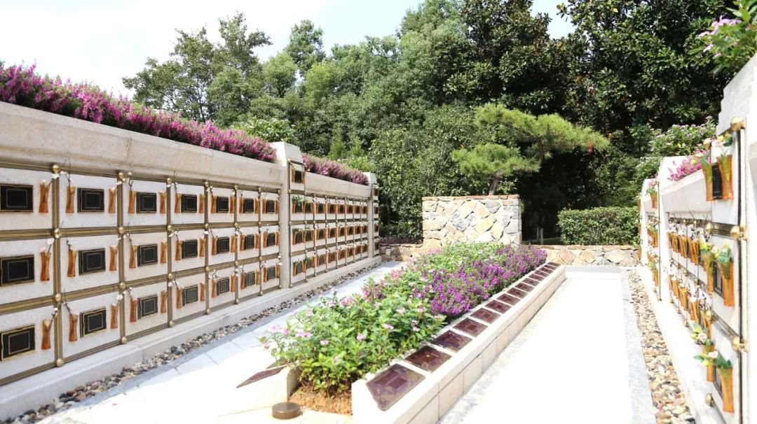 在合肥大蜀山文化陵园，与生命温柔对话